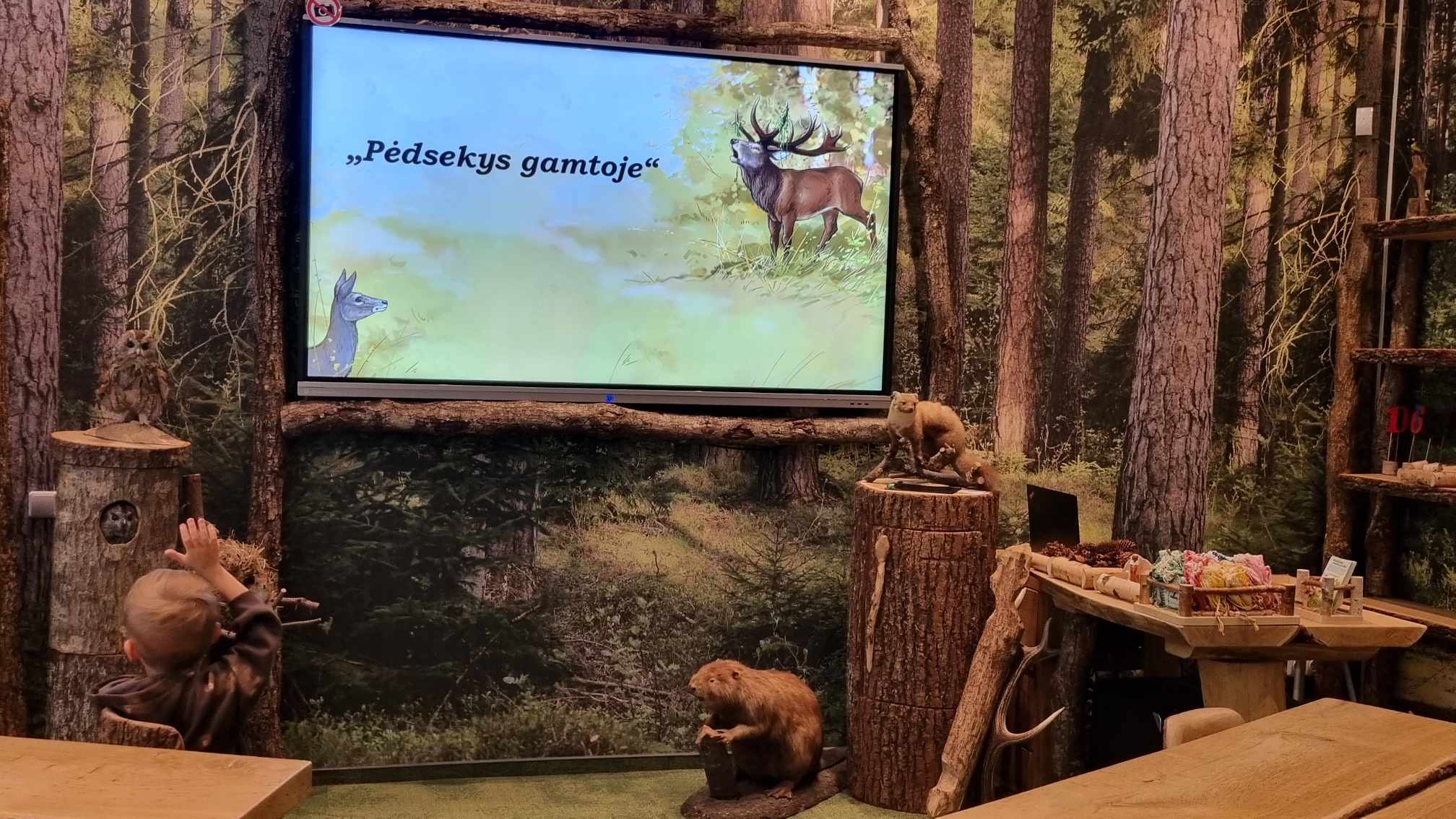 Edukacija Kauno T. Ivanausko zoologijos muziejuje  „Pėdsekys gamtoje“